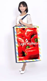 Light Walker(ライトウォーカー)超軽量の移動式LED看板・電光看板・野外広告08